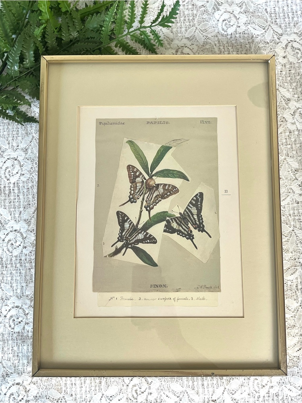 Vintage Gold Tone Framed Butterfly Decor 12”x16”